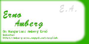 erno amberg business card